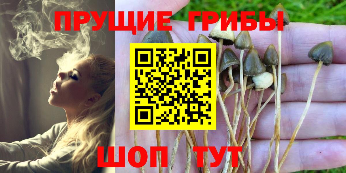 Муром  Псилоцибиновые грибы Magic Shrooms  Вход с VPN 
