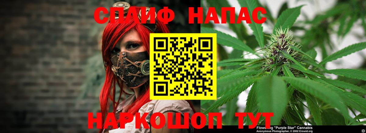 Каннабис планчик Муром